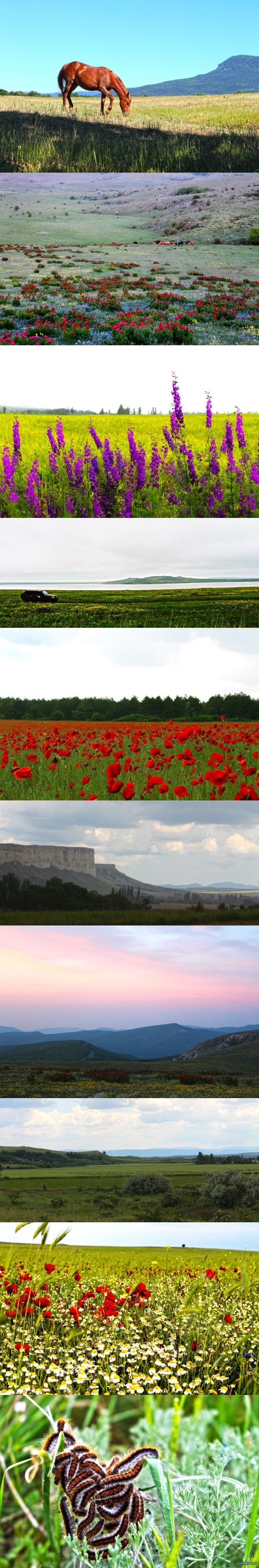 ������ � ���� ������������ ������� �����