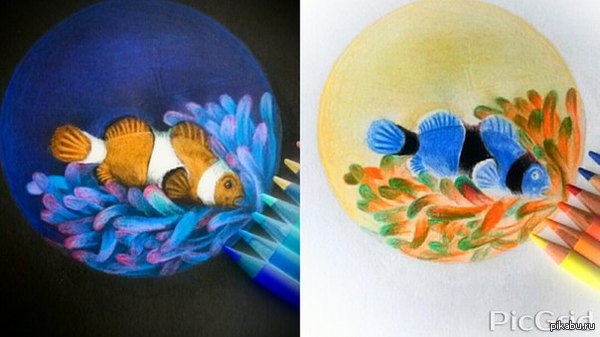 �����-����� � ��������