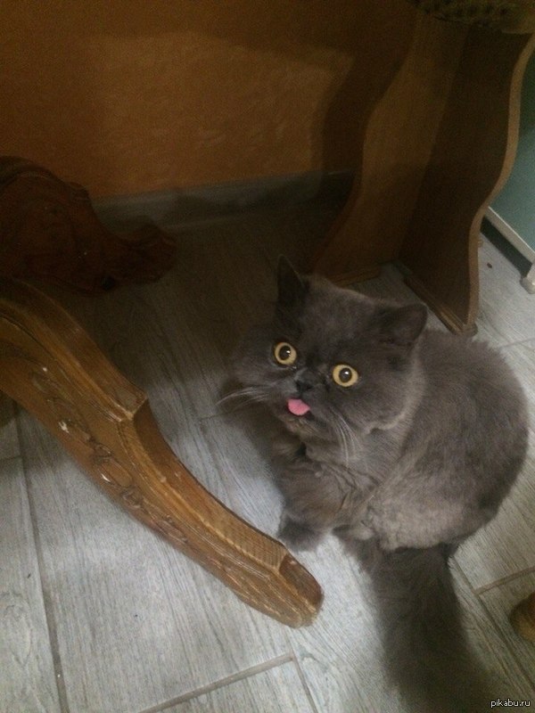 ��� ����� ����� =) ���������� ���� =)