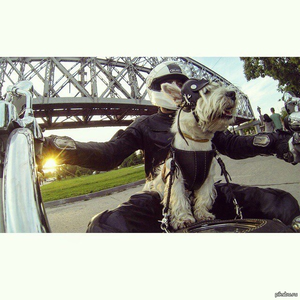 ��� �� ��������� �������� ������ ���� ��������, ��� ��������.