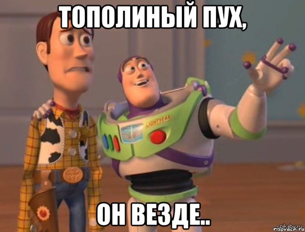 ��������� ���