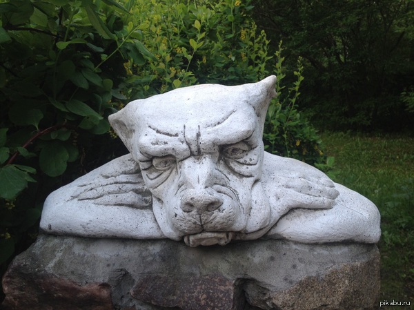 Завораживающий взгляд