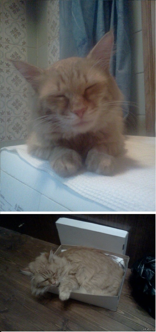 ��� ��� ��� ����� :)