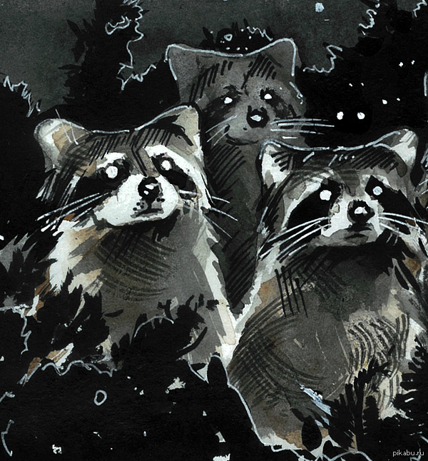 Raccoons, ink + watercolor - My, Drawing, Art, Creation, My, League of Artists, Raccoon, Animals, Artist
