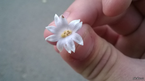 Двойное везение.