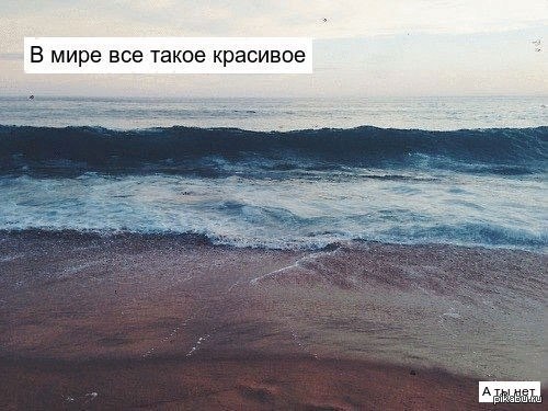 Другая сторона ванили | Пикабу