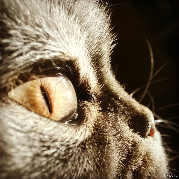    .   Microsoft Lumia 535