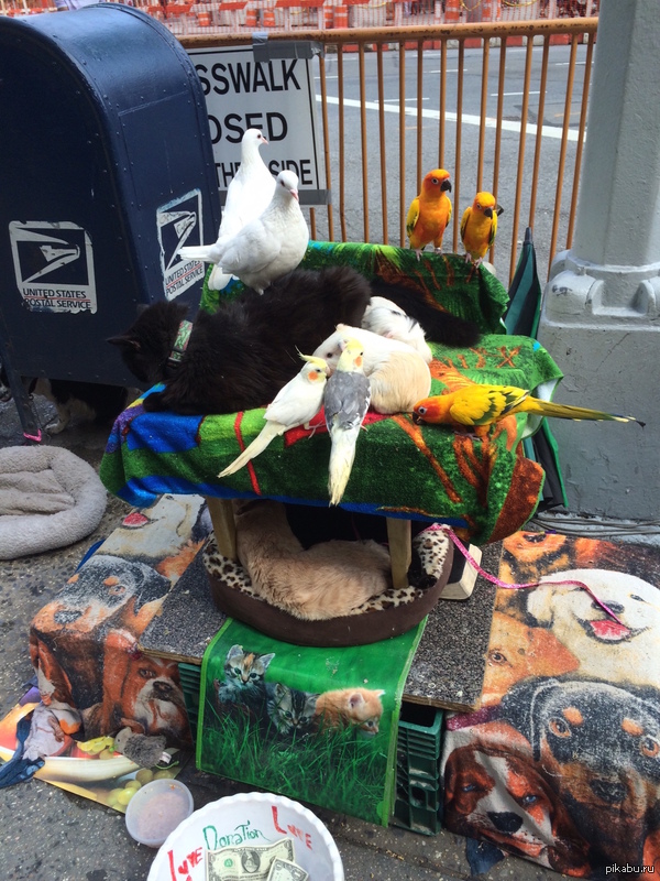 ��� � ��������