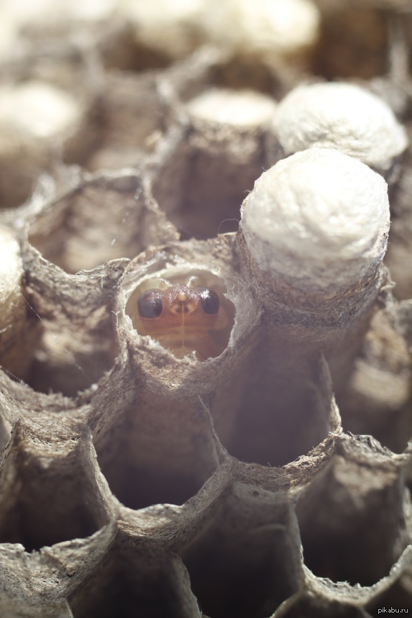 �� ��� �����? � ��� �� ����!...