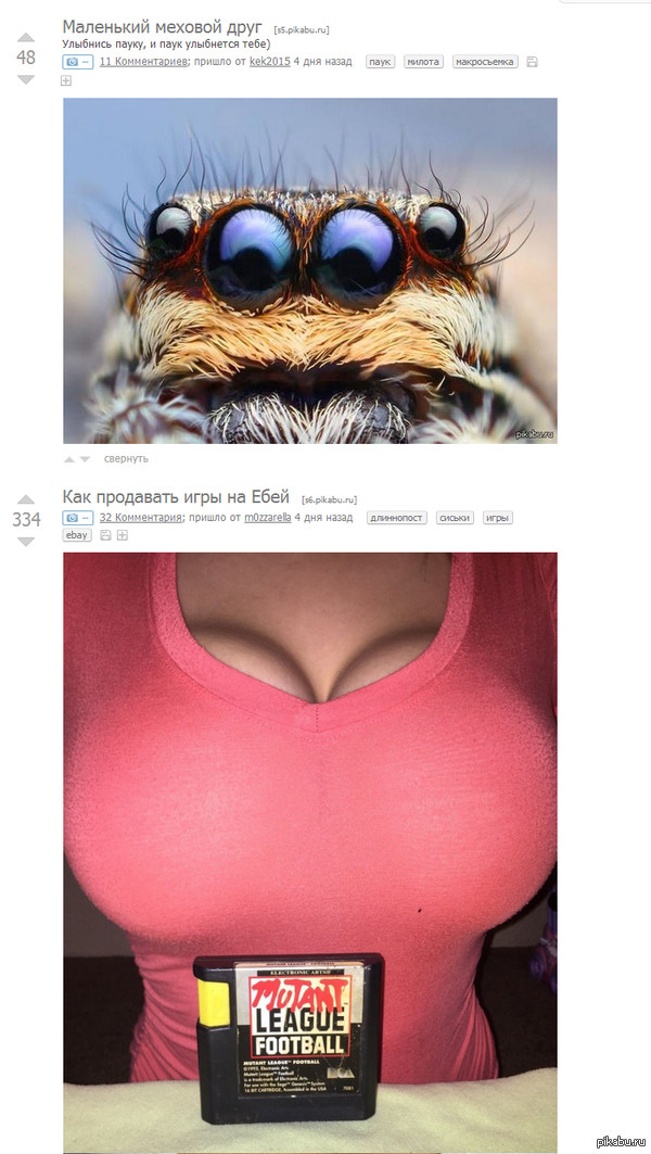 ����������.