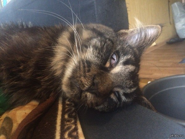 Крепкий сон. В ответ на пост