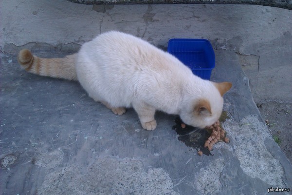 ����! ���������! ����� � ������,���������� � �������� ���. � �����,�����,����,� ������,�����,�����.��������,����������, ���������, ��������.