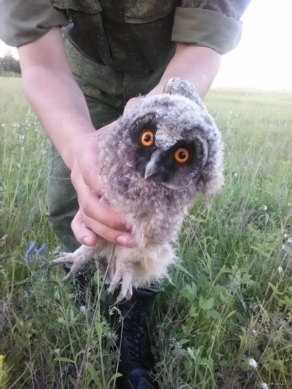 Когда в ВВС летают не только самолёты!