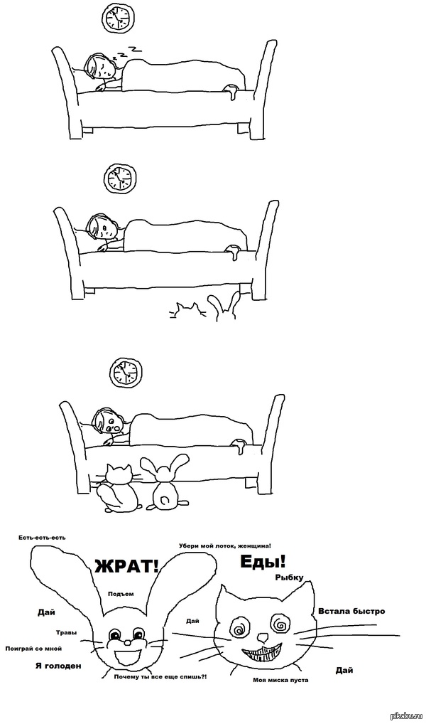  -   . Mission failed.