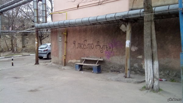 ����� �������� ��� � �������