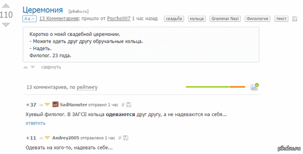 Неужели на Пикабу большинство не понимают разницы!?