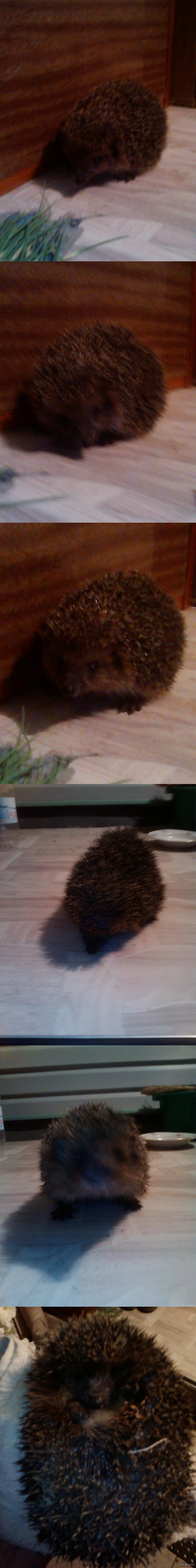 ��� ������ ����� ��������� ������� � ���� �� �������