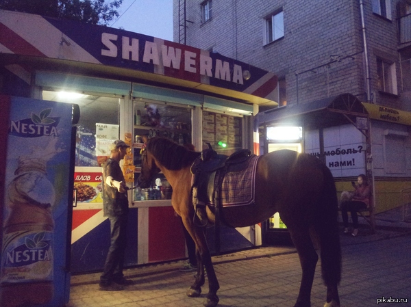 "���� ������, ����������"