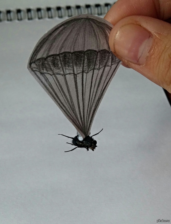 ����-����������