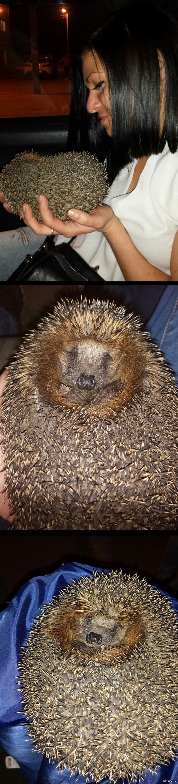 ����� ������ ��