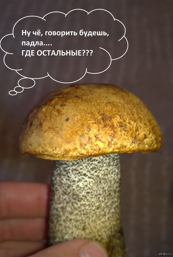 Когда пошел за грибами, а они встречаются крайне редко.