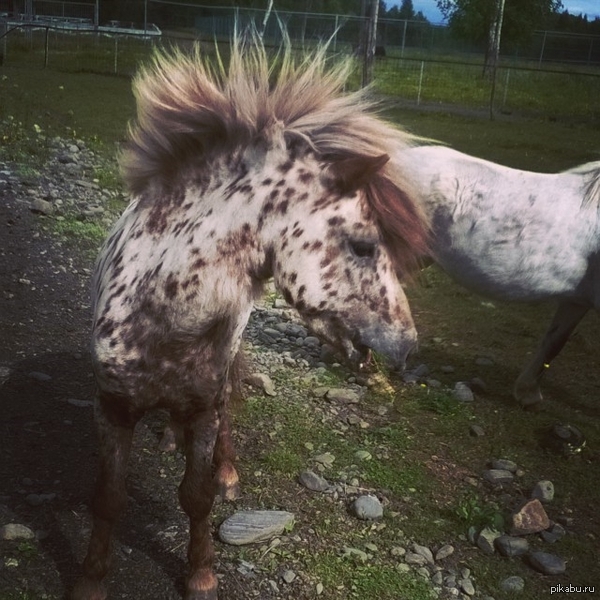 ���� ����