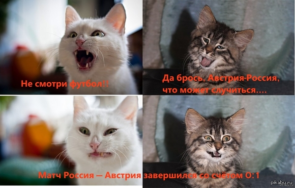 �  ��� ������� � �������