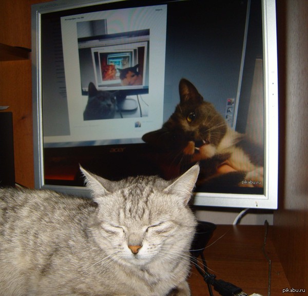 ���������� ��������