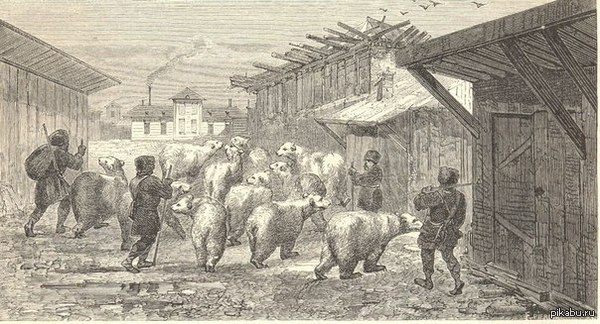               XIX         , 1862 