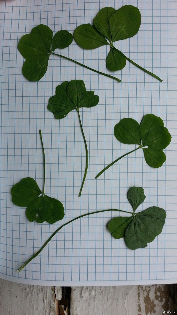 Немного повезло...