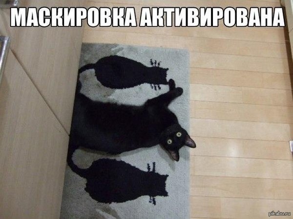 Найди кота