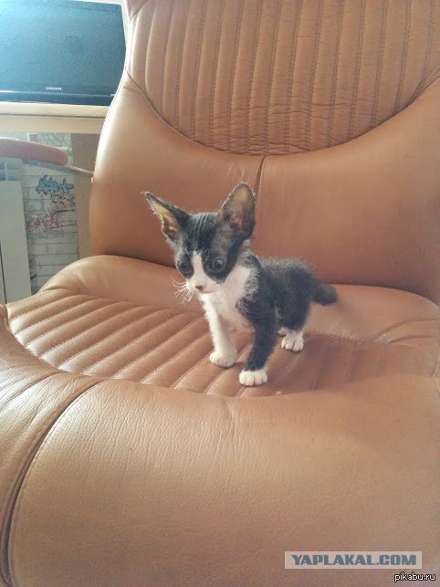 Подарок для сына.