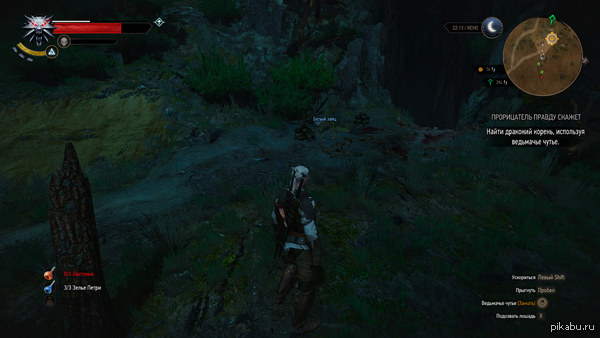 Следуй за белым кроликом