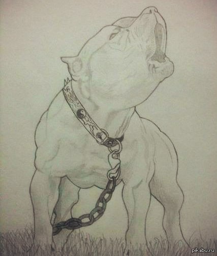 ��������� , �������� .