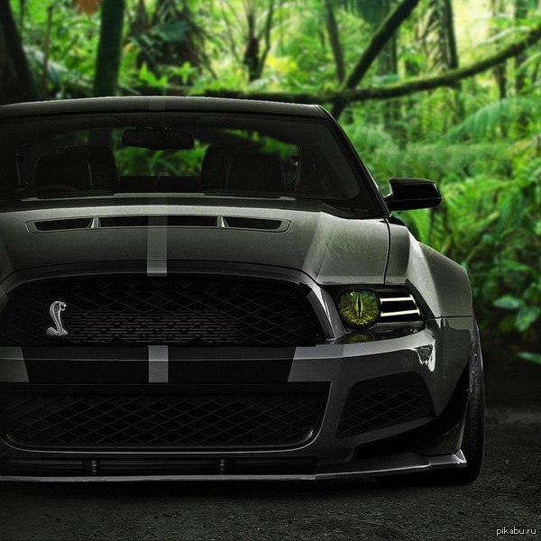 Ford Mustang Shelby GT500