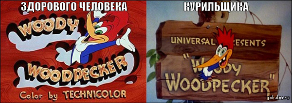    ? Woody Woodpecker )