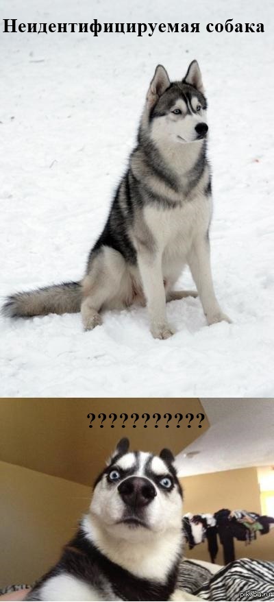 ������-�������