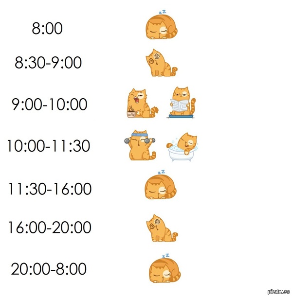  3.0   <a href="http://pikabu.ru/story/_3425949">http://pikabu.ru/story/_3425949</a>