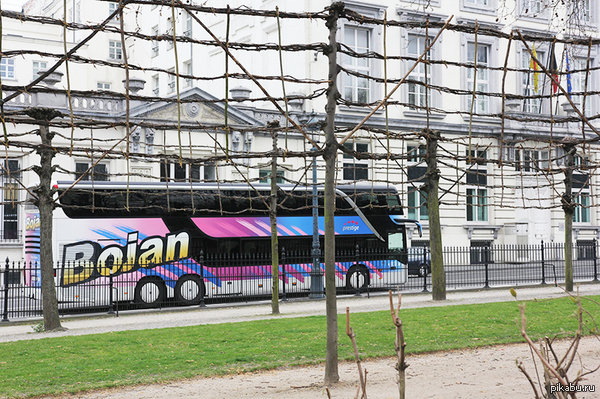 ���� �� �������