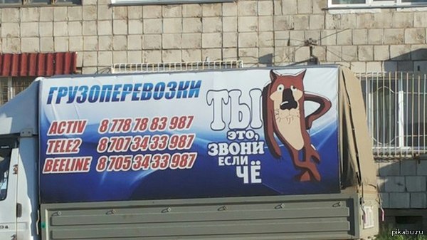 �-���������  �-�������