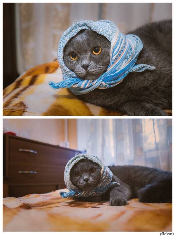 ������� �����, � ���...