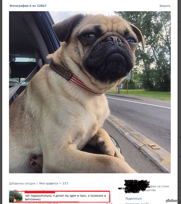     o(&amp;#8807;&amp;#9661;&amp;#8806;)o