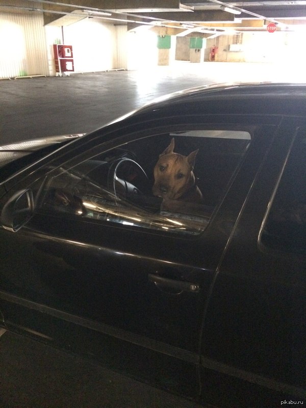 Охранная система