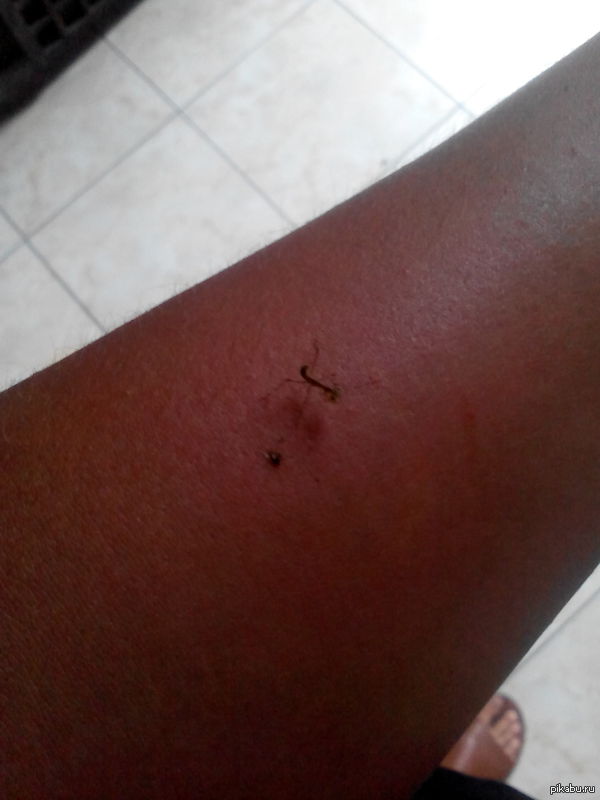 ����������� �������