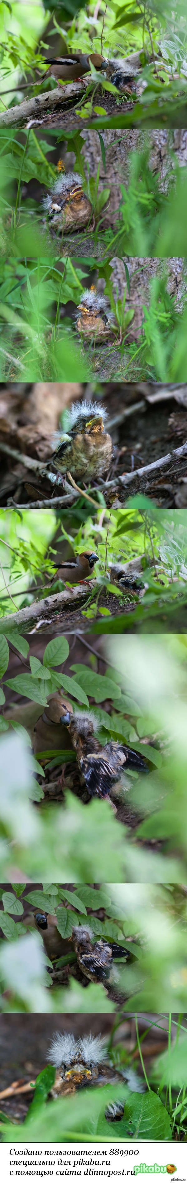 ������� ����� �������� ������ ���������. ��������� ������ �������� ������ �� �����.