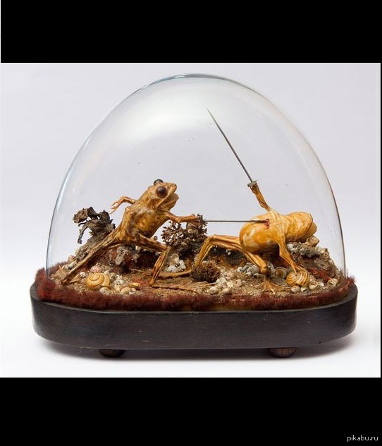 Battle toads: first blood