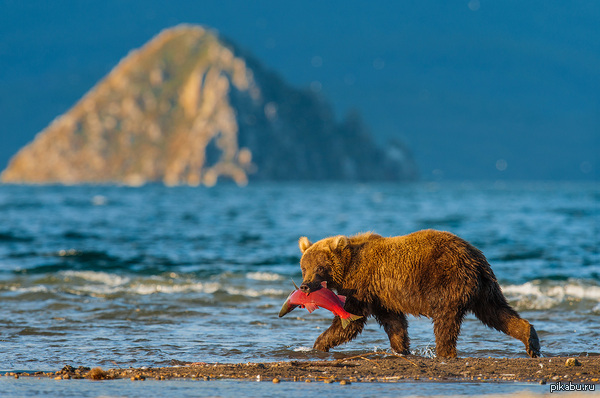 А ну-ка, отними! =)