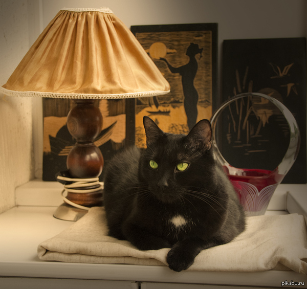 ������� �����...