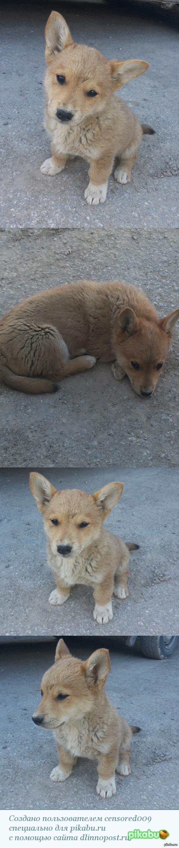 Я просто влюбился в неё