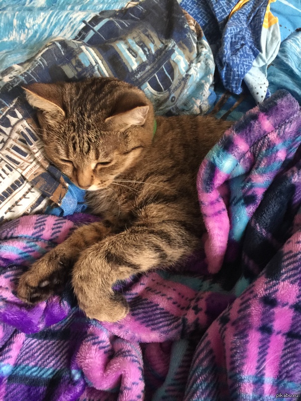 � ������ ����������� � �� ��������� �� ������, � ���-�� ����� ����� ����� ����.....